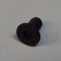 machine screw 10-32 flat head TORX tamper proof black (Some Rust)