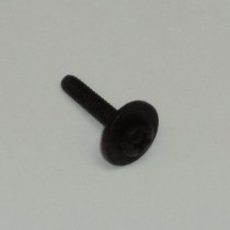 black screw and washer