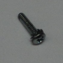 screw with star washer