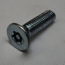 machine screw 10-32 flat head TORX tamper proof black