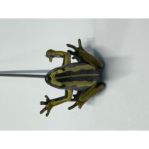 Bally SCARED STIFF pinball machine frog and stick