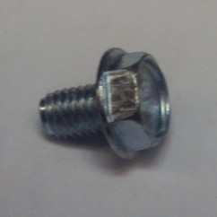 Screw