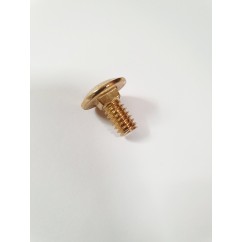 Stern Backbox Hinge Bolt - Gold / Brass