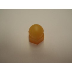 acorn-nut-yellow