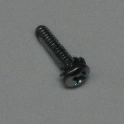 screw with star washer