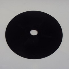 Plastic disc