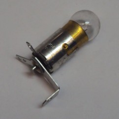 socket & bulb assembly (no Globe) (These do have some mild Surface Rust)
