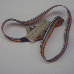 Ribbon Cable - 10 pin 24" w/ molex plug