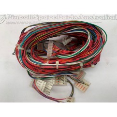 Wiring Loom Cable