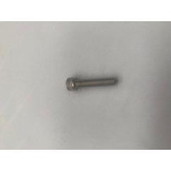 Cap screw hex socket 4010-01086-