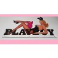 PLAYBOY TOPPER with Mounting Bracket (BALLY)