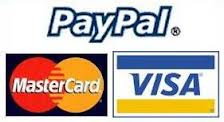 PayPal Logo